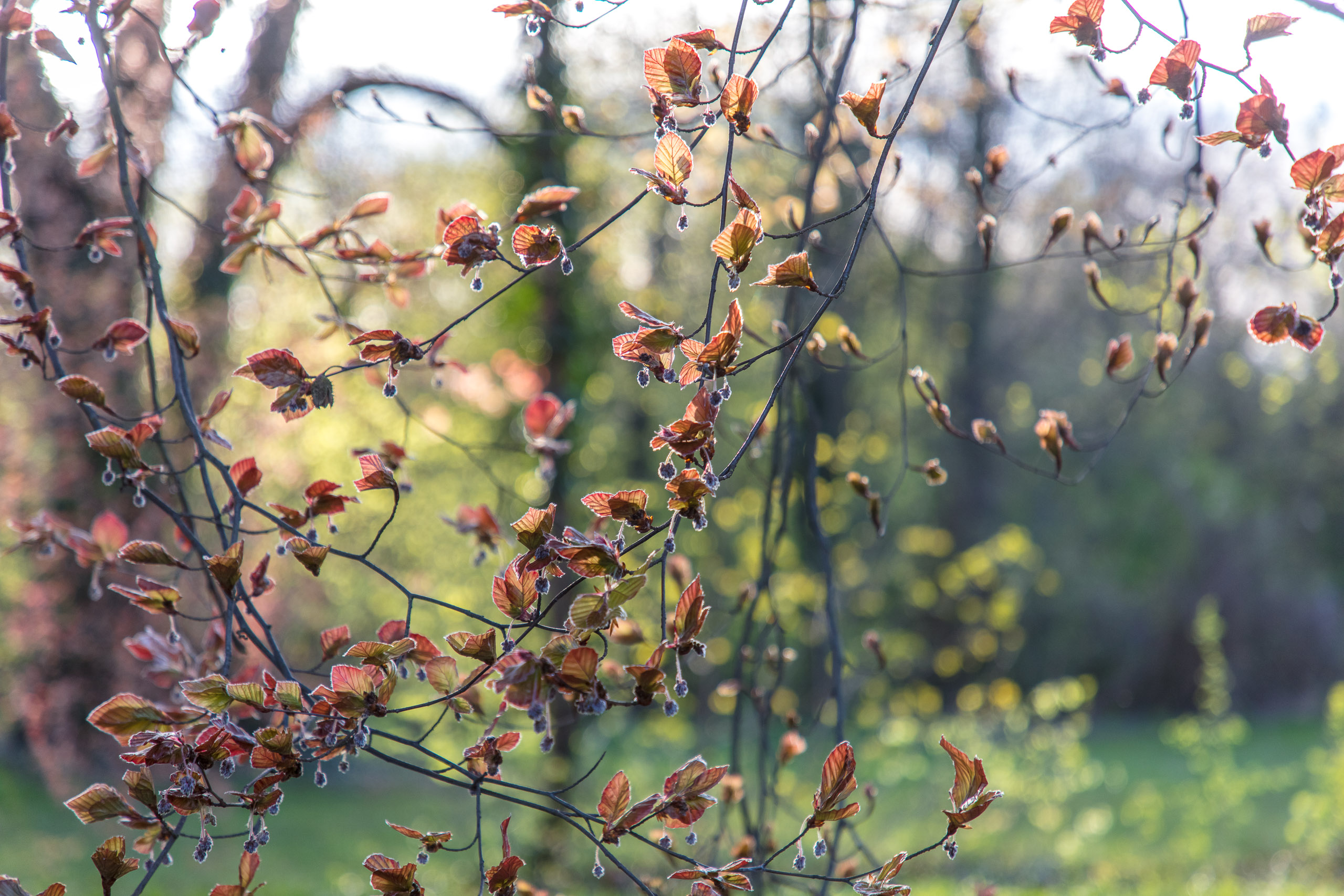 20180414190621 DP014964